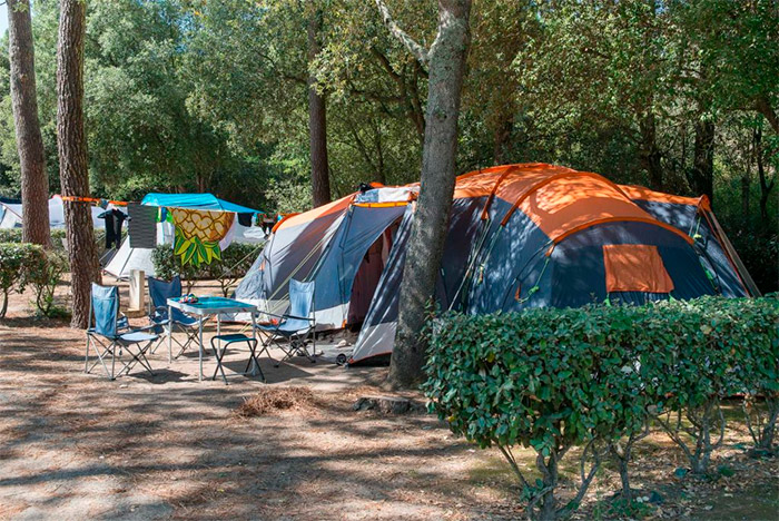 Camping avec emplacement nature en Vendée