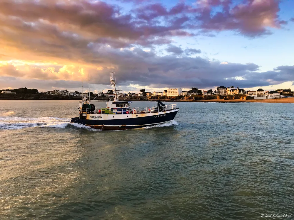 pêche à la sardine à St Gilles Croix de Vie